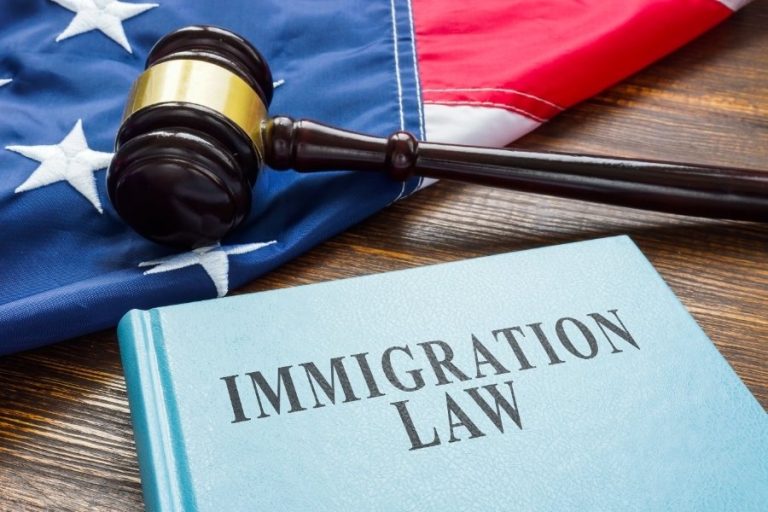 What Makes an Immigration Application “Strong”? Insider Tips Beyond the Basics
